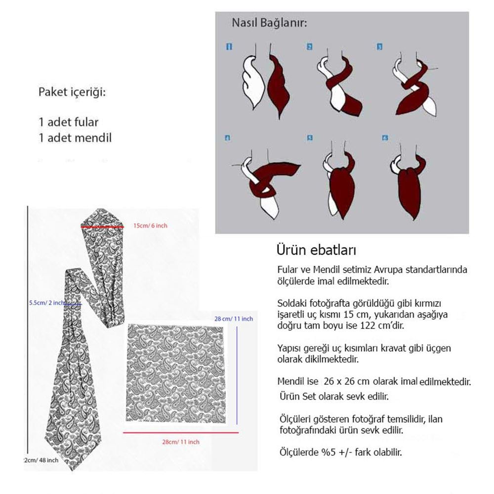 Gray with Cİty Istanbul Printed Ascot Hanky Set